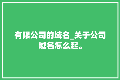 有限公司的域名_关于公司域名怎么起。 有限公司的域名_关于公司域名怎么起。 网站建设公司