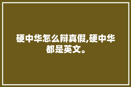 硬中华怎么辩真假,硬中华都是英文。 硬中华怎么辩真假,硬中华都是英文。 必应SEO