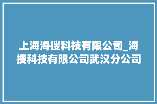 上海海搜科技有限公司_海搜科技有限公司武汉分公司。 上海海搜科技有限公司_海搜科技有限公司武汉分公司。 网站建设公司
