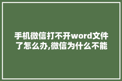 手机微信打不开word文件了怎么办,微信为什么不能用零钱支付了。 神马SEO 手机微信打不开word文件了怎么办,微信为什么不能用零钱支付了。 手机微信打不开word文件了怎么办,微信为什么不能用零钱支付了。 神马SEO