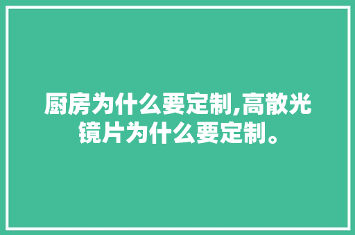 厨房为什么要定制,高散光镜片为什么要定制。 神马SEO 厨房为什么要定制,高散光镜片为什么要定制。 厨房为什么要定制,高散光镜片为什么要定制。 神马SEO