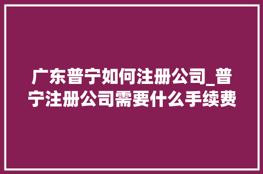 广东普宁如何注册公司_普宁注册公司需要什么手续费用。 广东普宁如何注册公司_普宁注册公司需要什么手续费用。 网站建设公司