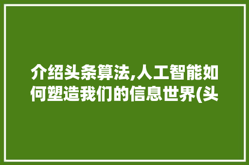 介绍头条算法,人工智能如何塑造我们的信息世界(头条算法是什么) 介绍头条算法,人工智能如何塑造我们的信息世界(头条算法是什么) 网站建设公司