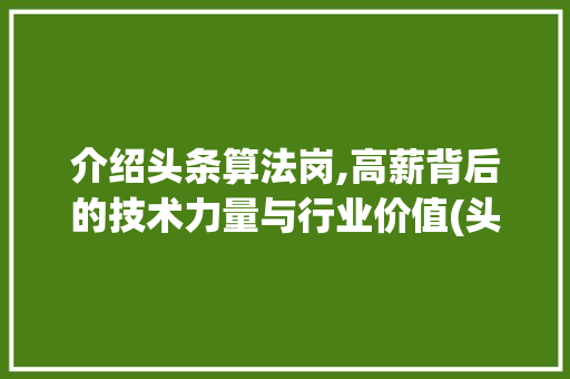 介绍头条算法岗,高薪背后的技术力量与行业价值(头条算法岗薪金) 介绍头条算法岗,高薪背后的技术力量与行业价值(头条算法岗薪金) 必应SEO