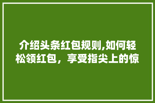 介绍头条红包规则,如何轻松领红包，享受指尖上的惊喜(头条接红包规则) 介绍头条红包规则,如何轻松领红包，享受指尖上的惊喜(头条接红包规则) 必应SEO