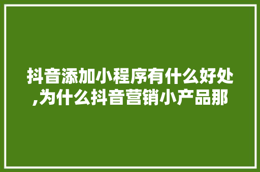 抖音添加小程序有什么好处,为什么抖音营销小产品那么多。 抖音添加小程序有什么好处,为什么抖音营销小产品那么多。 必应SEO