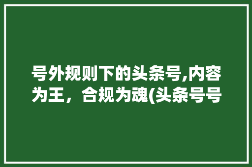 号外规则下的头条号,内容为王，合规为魂(头条号号外规则) 号外规则下的头条号,内容为王，合规为魂(头条号号外规则) SEO关键词