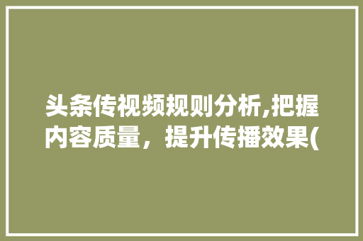 头条传视频规则分析,把握内容质量，提升传播效果(头条传视频规则) 头条传视频规则分析,把握内容质量，提升传播效果(头条传视频规则) 必应SEO