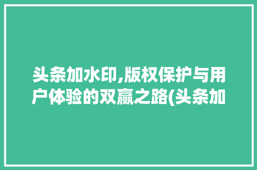 头条加水印,版权保护与用户体验的双赢之路(头条加水印规则) 头条加水印,版权保护与用户体验的双赢之路(头条加水印规则) 神马SEO