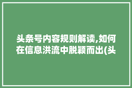 头条号内容规则解读,如何在信息洪流中脱颖而出(头条号内容规则) 头条号内容规则解读,如何在信息洪流中脱颖而出(头条号内容规则) 必应SEO