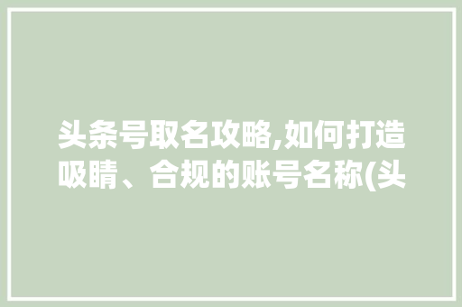 头条号取名攻略,如何打造吸睛、合规的账号名称(头条号取名规则) 头条号取名攻略,如何打造吸睛、合规的账号名称(头条号取名规则) 必应SEO