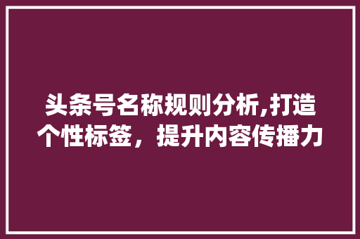 头条号名称规则分析,打造个性标签，提升内容传播力(头条号名称规则) 头条号名称规则分析,打造个性标签，提升内容传播力(头条号名称规则) 神马SEO