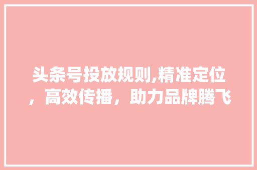 头条号投放规则,精准定位，高效传播，助力品牌腾飞(头条号投放规则) 头条号投放规则,精准定位，高效传播，助力品牌腾飞(头条号投放规则) SEO关键词