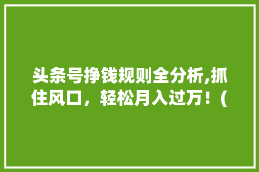 头条号挣钱规则全分析,抓住风口，轻松月入过万！(头条号挣钱规则) 头条号挣钱规则全分析,抓住风口，轻松月入过万！(头条号挣钱规则) 神马SEO