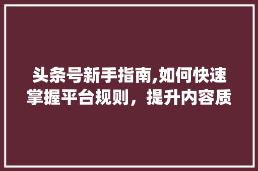 头条号新手指南,如何快速掌握平台规则，提升内容质量(头条号新手规则) 头条号新手指南,如何快速掌握平台规则，提升内容质量(头条号新手规则) 必应SEO