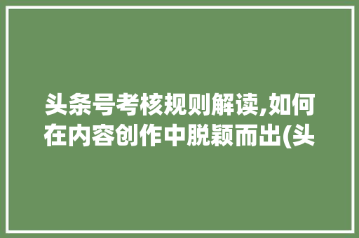 头条号考核规则解读,如何在内容创作中脱颖而出(头条号考核规则)