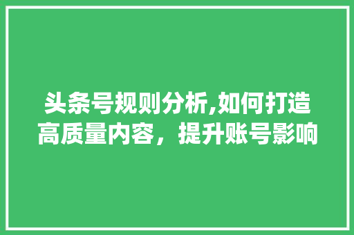 头条号规则分析,如何打造高质量内容，提升账号影响力(头条号规则调整) 头条号规则分析,如何打造高质量内容，提升账号影响力(头条号规则调整) SEO关键词