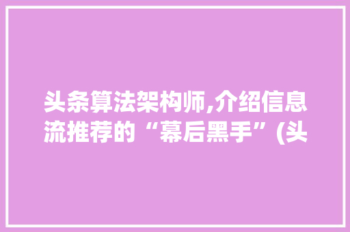 头条算法架构师,介绍信息流推荐的“幕后黑手”(头条算法架构师) 头条算法架构师,介绍信息流推荐的“幕后黑手”(头条算法架构师) 必应SEO