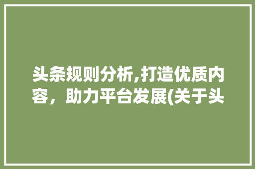 头条规则分析,打造优质内容，助力平台发展(关于头条的规则) 头条规则分析,打造优质内容，助力平台发展(关于头条的规则) 网站建设公司