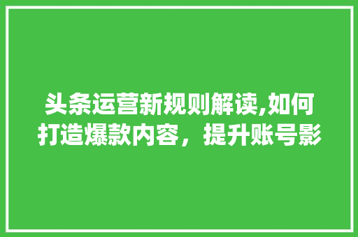 头条运营新规则解读,如何打造爆款内容，提升账号影响力(头条运营新规则) 头条运营新规则解读,如何打造爆款内容，提升账号影响力(头条运营新规则) 网站建设公司