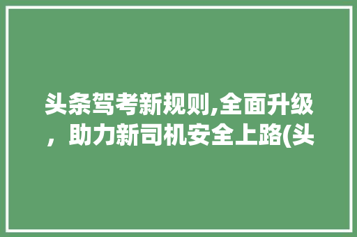 头条驾考新规则,全面升级，助力新司机安全上路(头条驾考新规则) 头条驾考新规则,全面升级，助力新司机安全上路(头条驾考新规则) SEO关键词