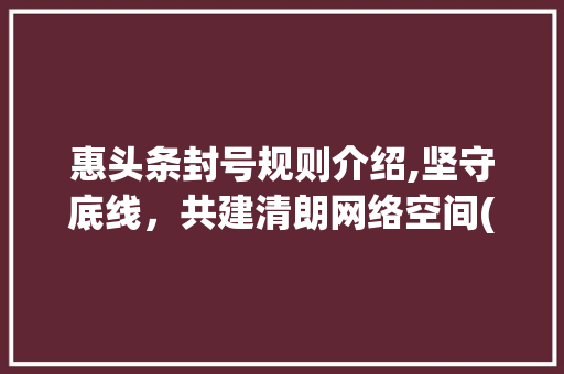 惠头条封号规则介绍,坚守底线，共建清朗网络空间(惠头条封号规则) 惠头条封号规则介绍,坚守底线，共建清朗网络空间(惠头条封号规则) 网站建设公司