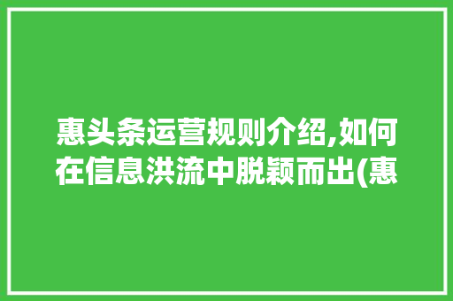 惠头条运营规则介绍,如何在信息洪流中脱颖而出(惠头条运营规则) 惠头条运营规则介绍,如何在信息洪流中脱颖而出(惠头条运营规则) SEO关键词
