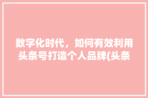 数字化时代，如何有效利用头条号打造个人品牌(头条号规则修改) 数字化时代，如何有效利用头条号打造个人品牌(头条号规则修改) 百度SEO
