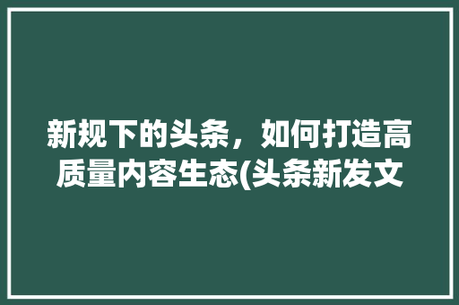 新规下的头条，如何打造高质量内容生态(头条新发文规则) 新规下的头条，如何打造高质量内容生态(头条新发文规则) 网站建设公司