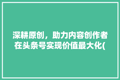 深耕原创，助力内容创作者在头条号实现价值最大化(头条号原创规则) 深耕原创，助力内容创作者在头条号实现价值最大化(头条号原创规则) 百度SEO
