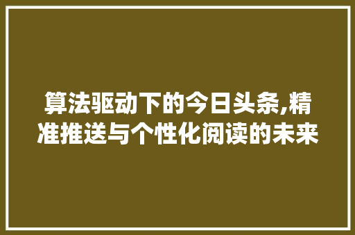 算法驱动下的今日头条,精准推送与个性化阅读的未来(今日头条和算法) 算法驱动下的今日头条,精准推送与个性化阅读的未来(今日头条和算法) 神马SEO