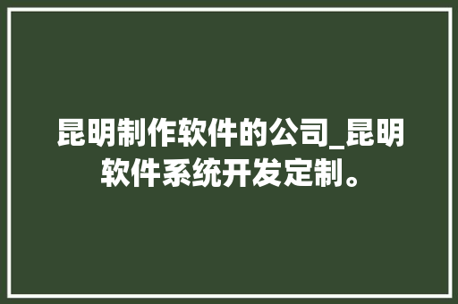 昆明制作软件的公司_昆明软件系统开发定制。 昆明制作软件的公司_昆明软件系统开发定制。 网站建设公司