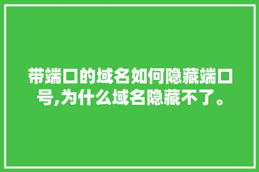 带端口的域名如何隐藏端口号,为什么域名隐藏不了。 带端口的域名如何隐藏端口号,为什么域名隐藏不了。 必应SEO