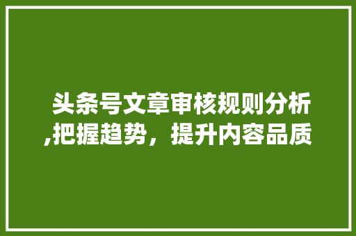  头条号文章审核规则分析,把握趋势，提升内容品质( 头条号文章审核规则)  头条号文章审核规则分析,把握趋势，提升内容品质( 头条号文章审核规则) 必应SEO
