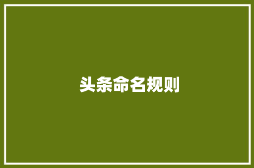  头条命名规则  头条命名规则 神马SEO