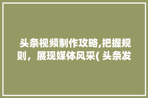  头条视频制作攻略,把握规则，展现媒体风采( 头条发视频的规则和要求)  头条视频制作攻略,把握规则，展现媒体风采( 头条发视频的规则和要求) 神马SEO