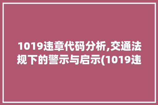 1019违章代码分析,交通法规下的警示与启示(1019违章代码是什么意思) 1019违章代码分析,交通法规下的警示与启示(1019违章代码是什么意思) 百度SEO