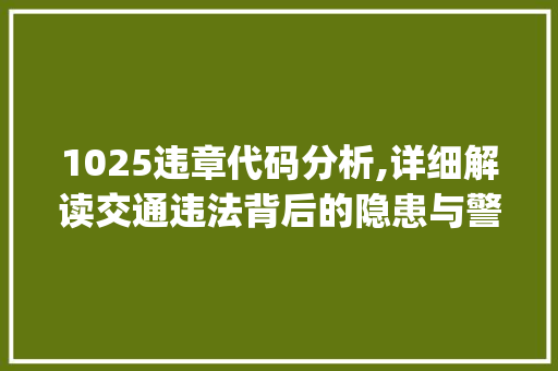 1025违章代码分析,详细解读交通违法背后的隐患与警示(1025违章代码查询) 1025违章代码分析,详细解读交通违法背后的隐患与警示(1025违章代码查询) 必应SEO