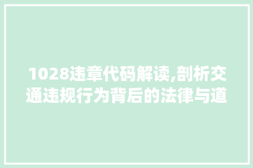 1028违章代码解读,剖析交通违规行为背后的法律与道德责任(1028违章代码查询) 1028违章代码解读,剖析交通违规行为背后的法律与道德责任(1028违章代码查询) 百度SEO