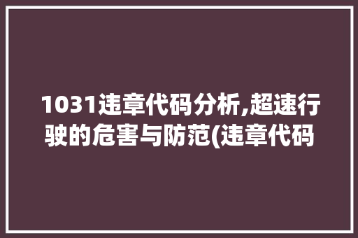 1031违章代码分析,超速行驶的危害与防范(违章代码1031) 1031违章代码分析,超速行驶的危害与防范(违章代码1031) SEO关键词