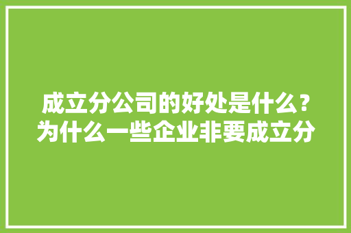 成立分公司的好处是什么？为什么一些企业非要成立分公司,为什么要建立分公司呢。 成立分公司的好处是什么？为什么一些企业非要成立分公司,为什么要建立分公司呢。 必应SEO