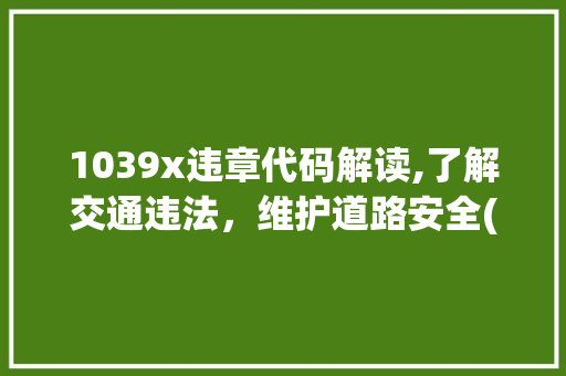1039x违章代码解读,了解交通违法，维护道路安全(1039x违章代码查询) 1039x违章代码解读,了解交通违法，维护道路安全(1039x违章代码查询) 必应SEO