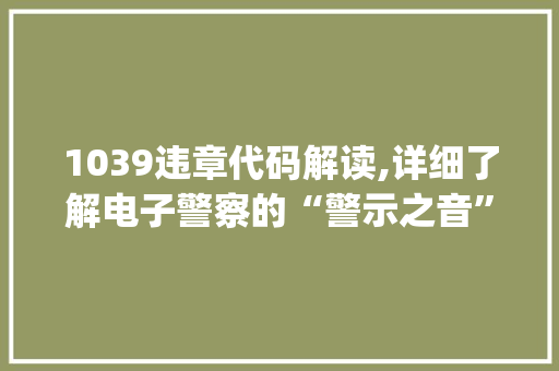 1039违章代码解读,详细了解电子警察的“警示之音”(1039违章代码查询) 1039违章代码解读,详细了解电子警察的“警示之音”(1039违章代码查询) 百度SEO