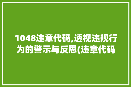 1048违章代码,透视违规行为的警示与反思(违章代码1048) 1048违章代码,透视违规行为的警示与反思(违章代码1048) SEO关键词