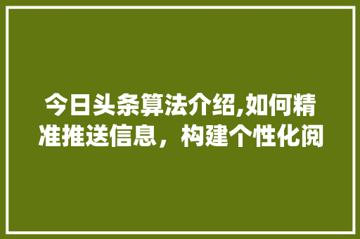 今日头条算法介绍,如何精准推送信息，构建个性化阅读体验(今日头条系算法) 今日头条算法介绍,如何精准推送信息，构建个性化阅读体验(今日头条系算法) 网站建设公司