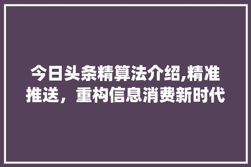 今日头条精算法介绍,精准推送，重构信息消费新时代(今日头条精算法) 今日头条精算法介绍,精准推送，重构信息消费新时代(今日头条精算法) 网站建设公司