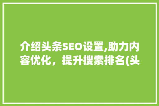 介绍头条SEO设置,助力内容优化，提升搜索排名(头条seo设置)