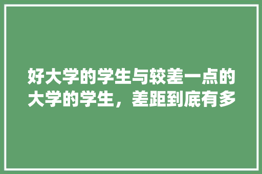 好大学的学生与较差一点的大学的学生，差距到底有多大,vipkid为什么那么贵。 好大学的学生与较差一点的大学的学生，差距到底有多大,vipkid为什么那么贵。 必应SEO