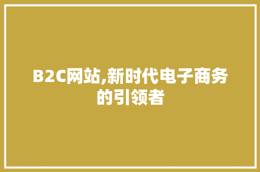 B2C网站,新时代电子商务的引领者 B2C网站,新时代电子商务的引领者 百度SEO