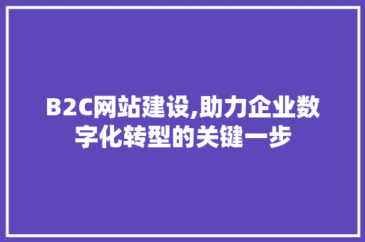 B2C网站建设,助力企业数字化转型的关键一步 B2C网站建设,助力企业数字化转型的关键一步 神马SEO